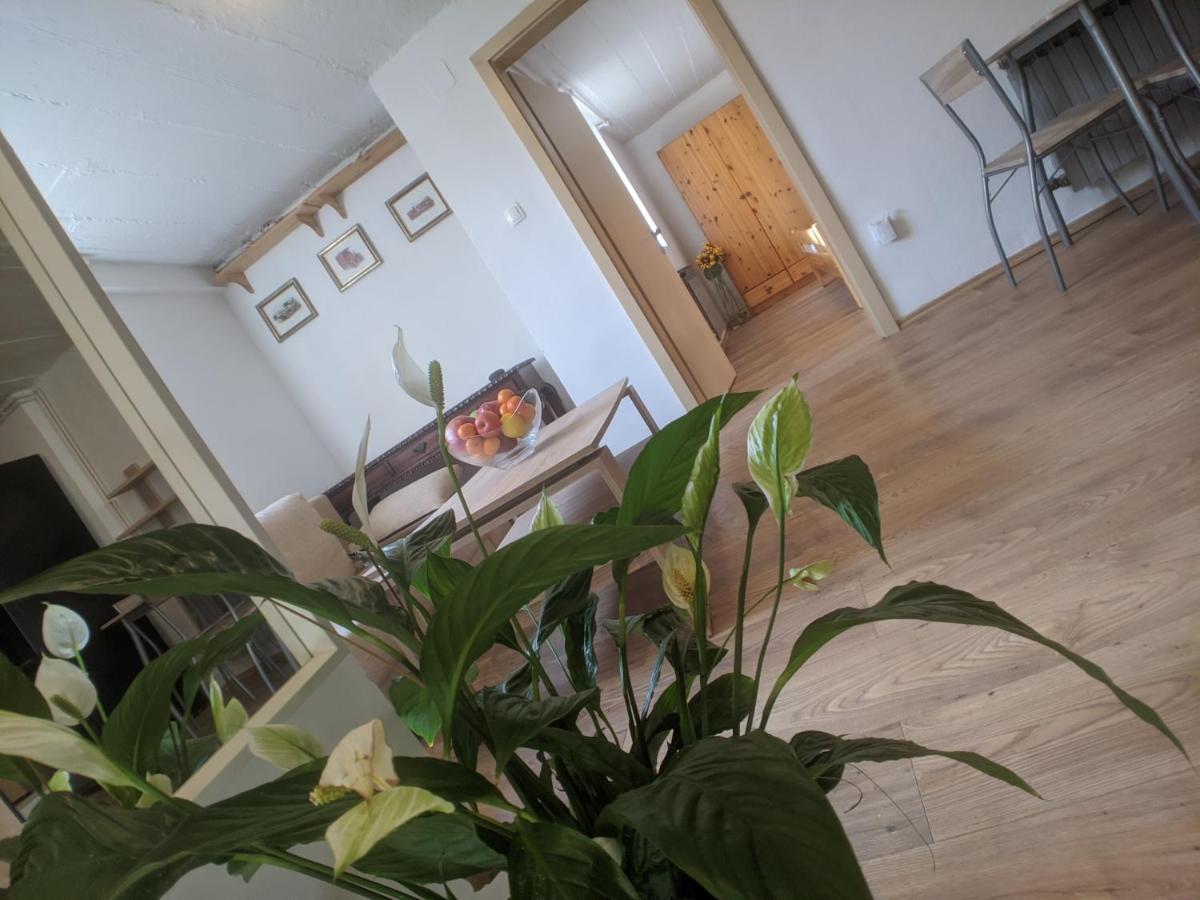 Twin-Magnolias Condo With Garden, Parking & Ev Station Zagreb Dış mekan fotoğraf