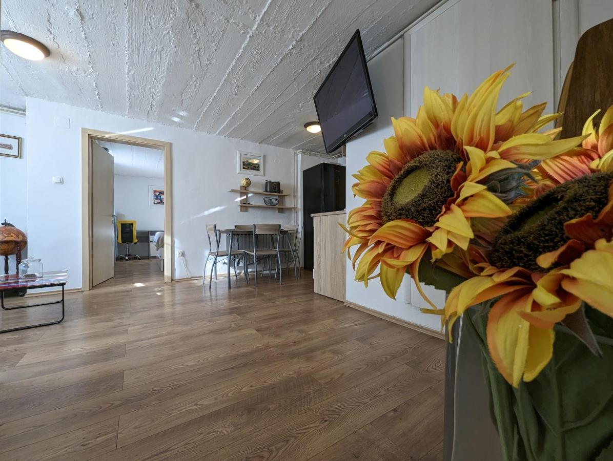 Twin-Magnolias Condo With Garden, Parking & Ev Station Zagreb Dış mekan fotoğraf
