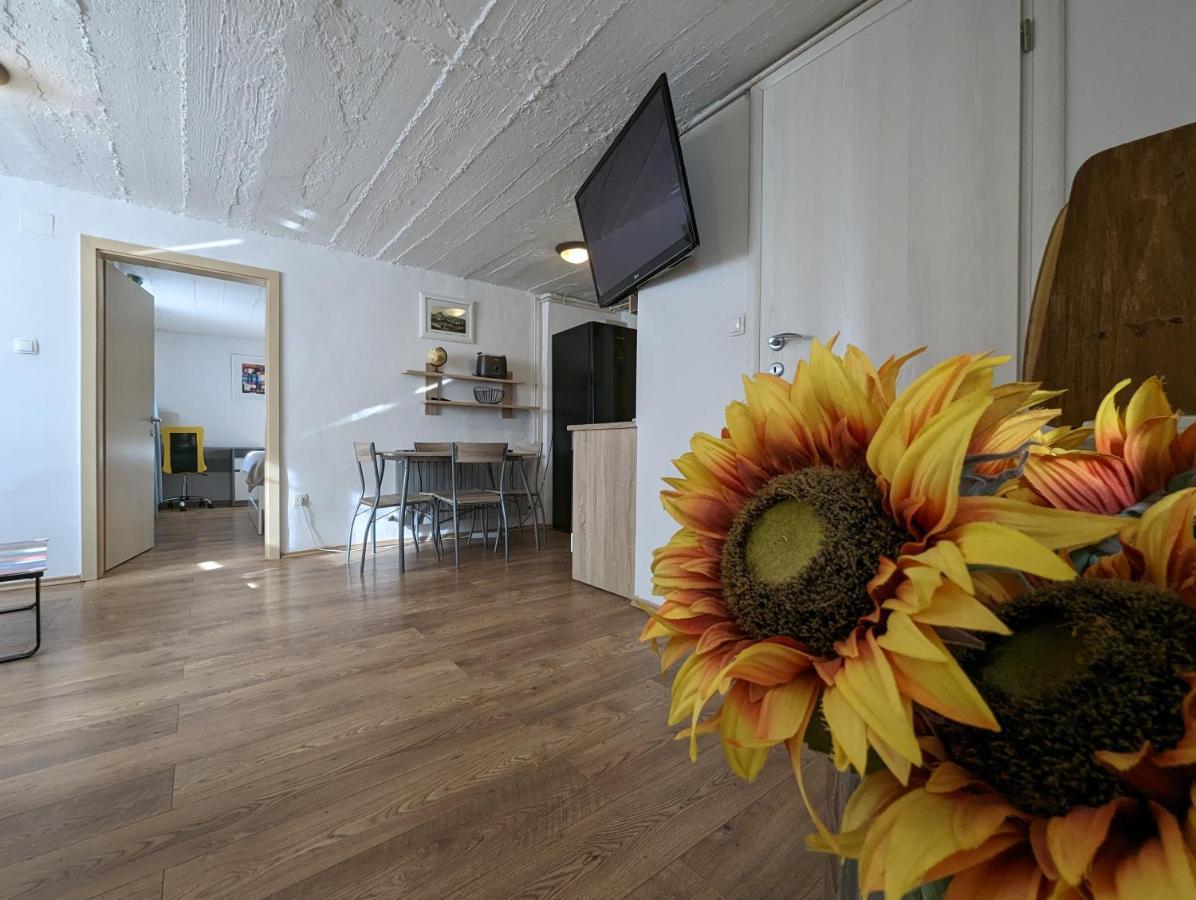 Twin-Magnolias Condo With Garden, Parking & Ev Station Zagreb Dış mekan fotoğraf
